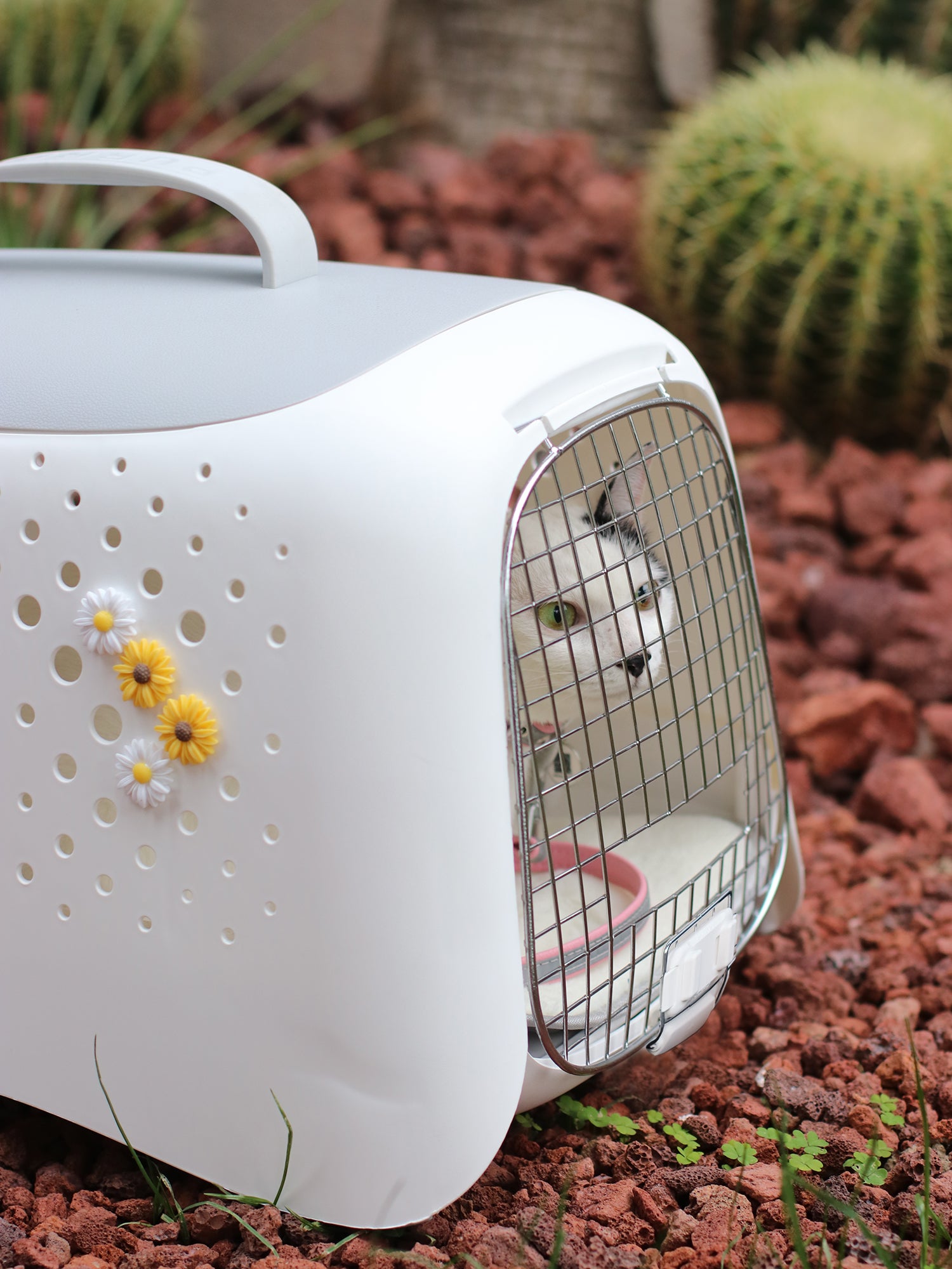 Purr-Py 小鳥用 バードキャリー ケージ　3WAY Purrpy Pet Carrier – purrpy