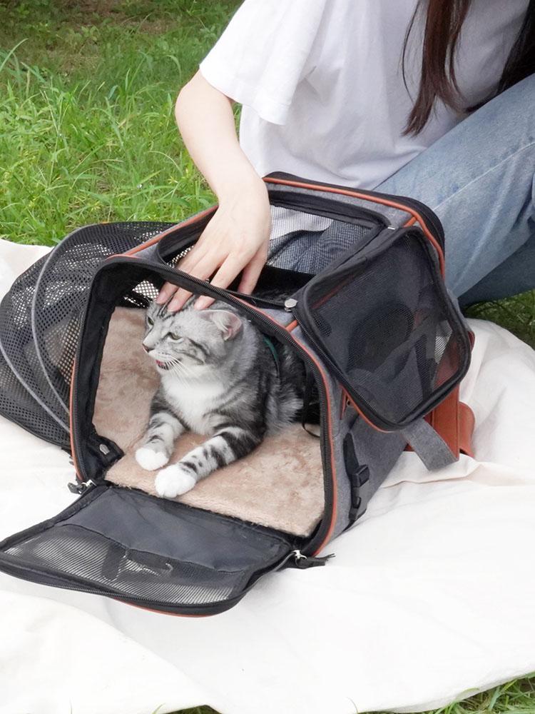 Cat carrier Expandable Pet travel Airline approved Shoulder Straps | Purrpy