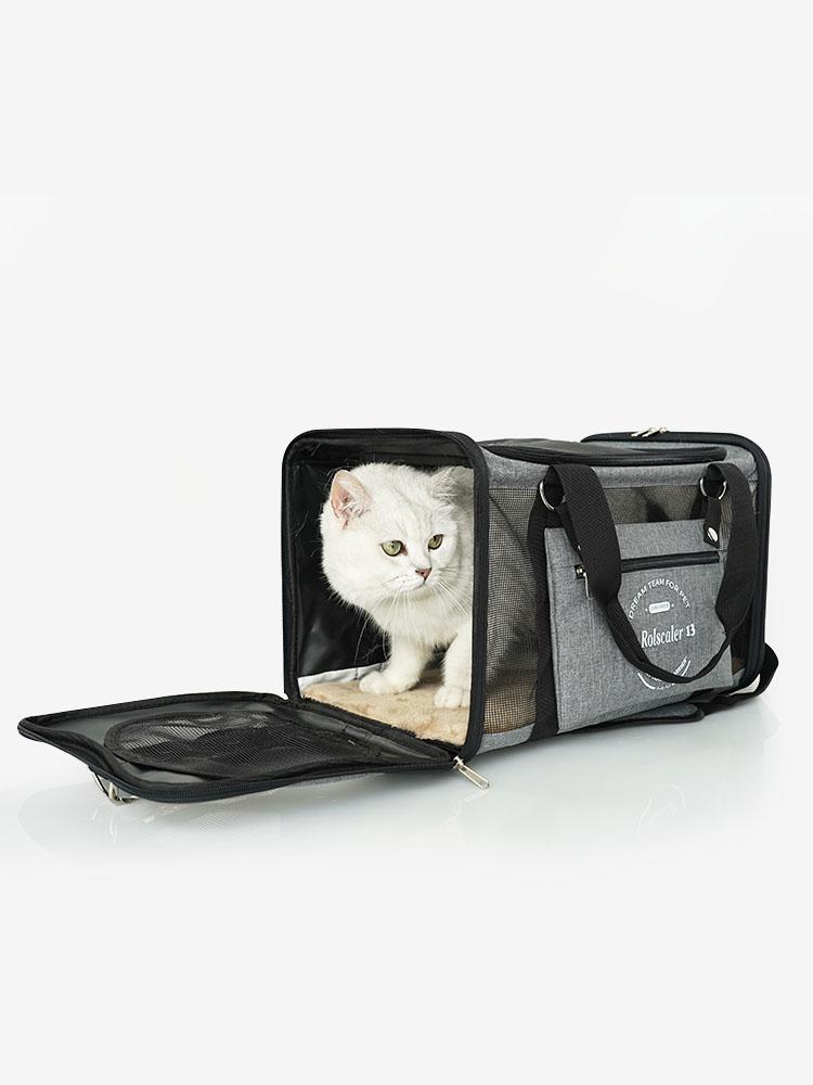 Cat carrier Foldable Ventilated Pet travel Airline approved Durable | Purrpy