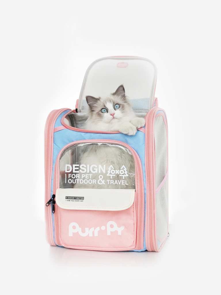Transportín para mascotas Jelly mochila Hermosa Alta calidad  | Purrpy