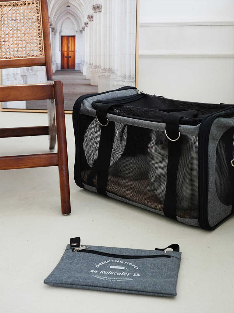 Cat carrier Foldable Ventilated Pet travel Airline approved Durable | Purrpy