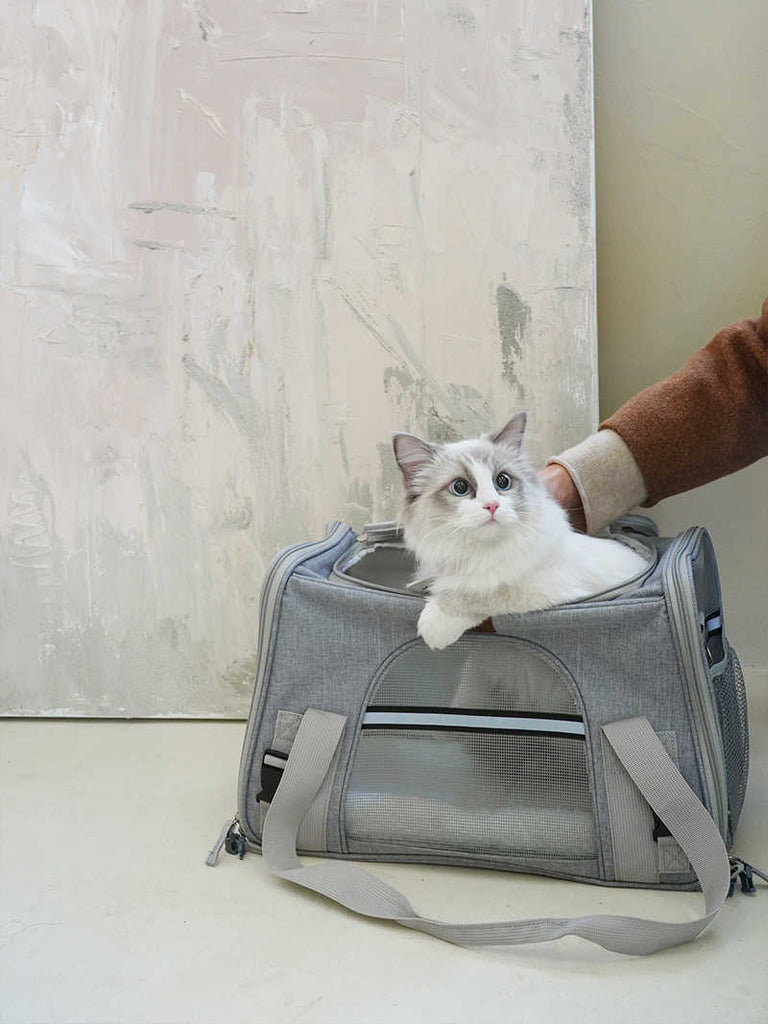 Cat carrier Dog carrier Airline approved Well ventilated Foldable | Purrpy