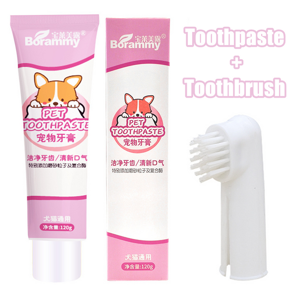 Toothbrush and Edible Toothpaste