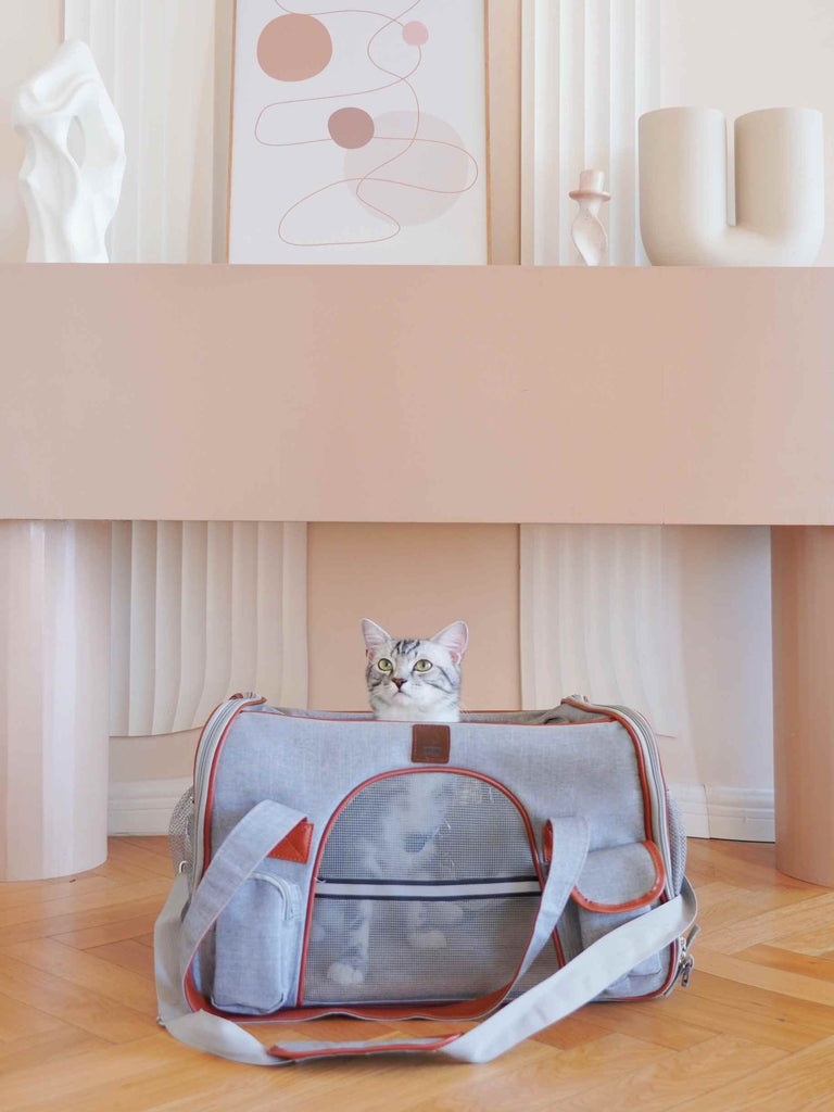 Cat dog carrier Foldable  Airline approved Collapsible High quality | Purrpy